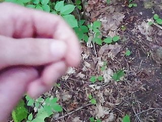 Cumming in the forest after work