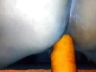 carrot  4
