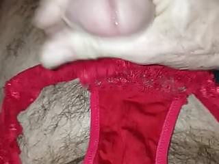wife panty