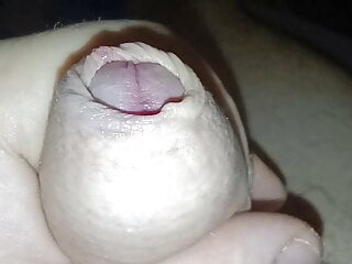 Close up uncut cock