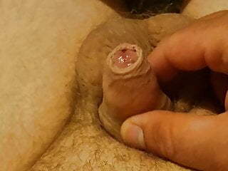 Small soft uncut foreskin cock