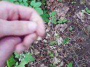 Cumming in the forest after work