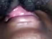 sucking and licking pussy