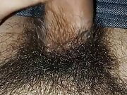 Hairy dick