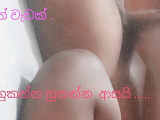 Pussy, Wife, Srilankan, Srilankan Home Made