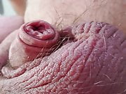Soft cock and balls close up