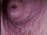 internal sex, cumshot, creampie, male female orgasm
