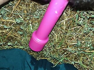 Close up Pussy Masturbation, Pussy Close up, American, Outdoor