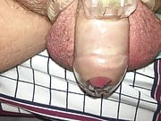 Leaking precum in chastity closeup