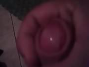 gordo