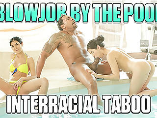 Interracial Sex, Blowjobs, Girl Pussy, Girl Sex