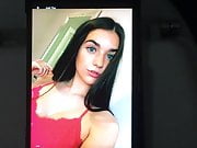 Cumtribute for K8e00 N 2