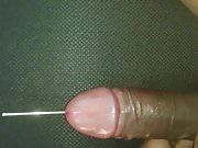 penis insertion , masturbation 