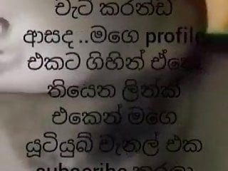 Blowjobs, Chat, Srilankan, Blowjob