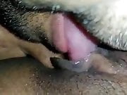 Uncle licking desi mom’s pussy