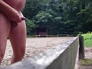 Spermaspritzen auf Dressurplatz