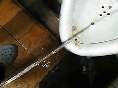 Pissing in public toiletries