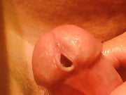 Horny urethral Peehole stuffing