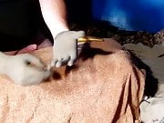 Surgical gloves masturbation