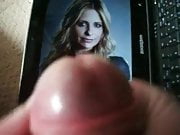 tribute to sarah michelle gellar