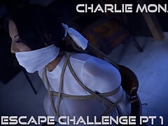 Amazing Bondage Video's of Bound and Gagged Damsels Tied Up and Gagged ( GagAttack.NL ) 