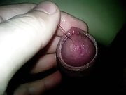 Precum play
