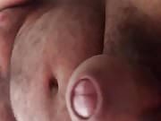 Polla