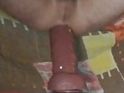 Delicious Dildo