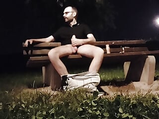 Risky park jerking (fooling around with my dick out in public, no cumshot)