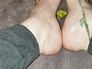 Long toenails mango scratching 