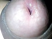 close up mi pene lubricando