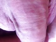 Close up cock