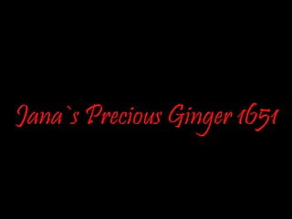 Precious ginger 1651...
