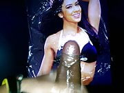 AJ Lee Cum Tribute #4