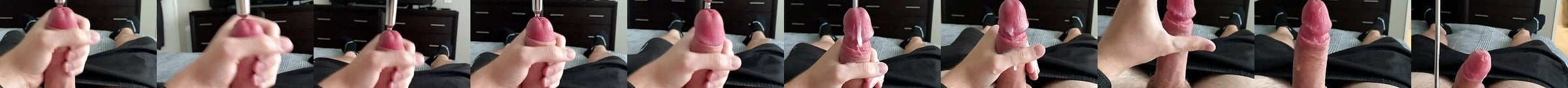 Flies Sucking Cock Gay Suck HD Porn Video A4 XHamster XHamster