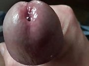 Precum