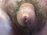 Hairy Dickplay